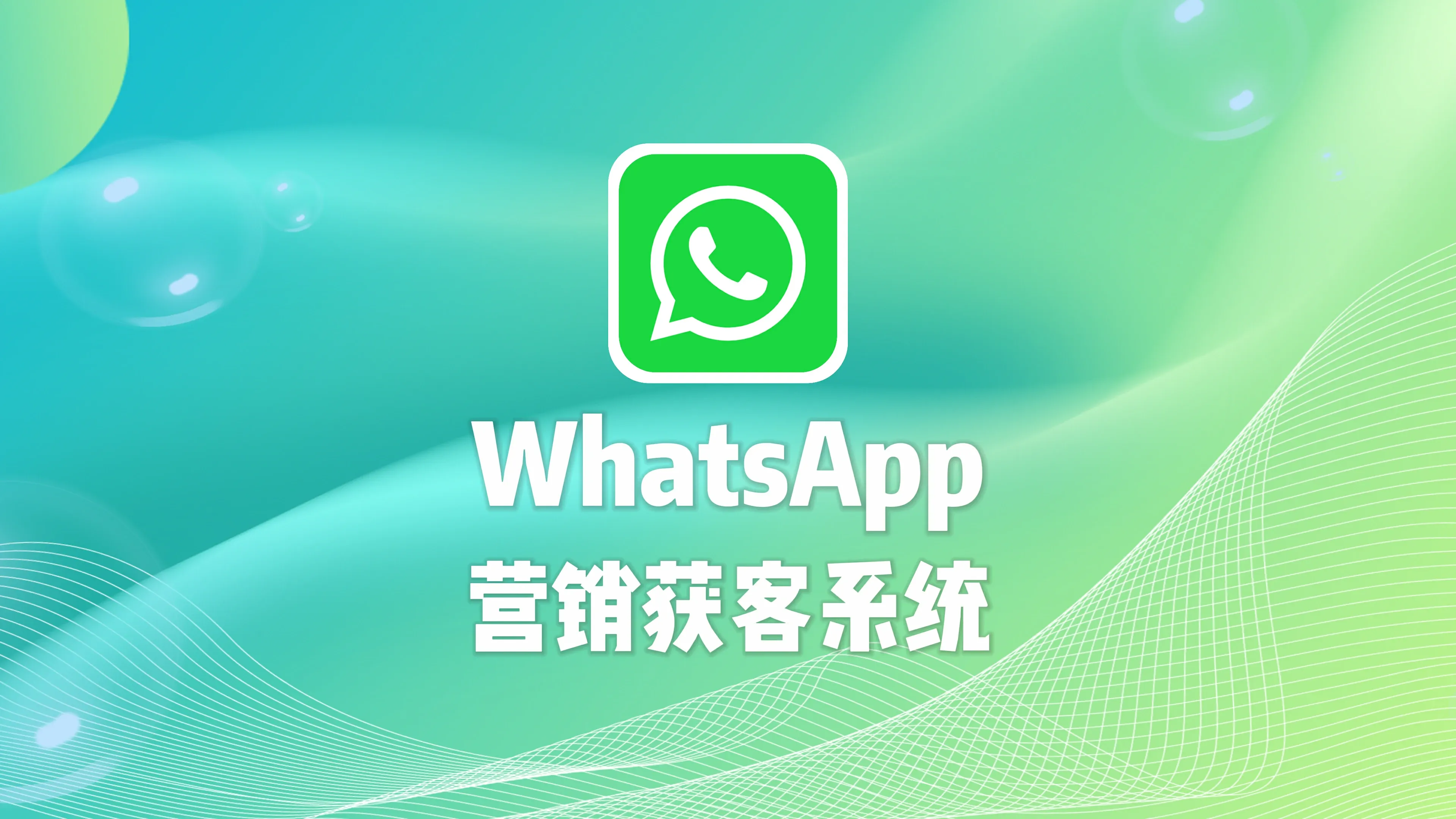全球通WhatsApp营销软件自动化营销工具